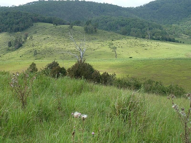 1547 Warbro Brook Road, Willi Willi via, Kempsey NSW 2440