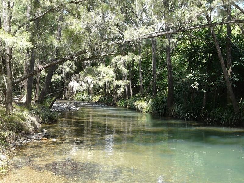 1547 Warbro Brook Road, Willi Willi via, Kempsey NSW 2440