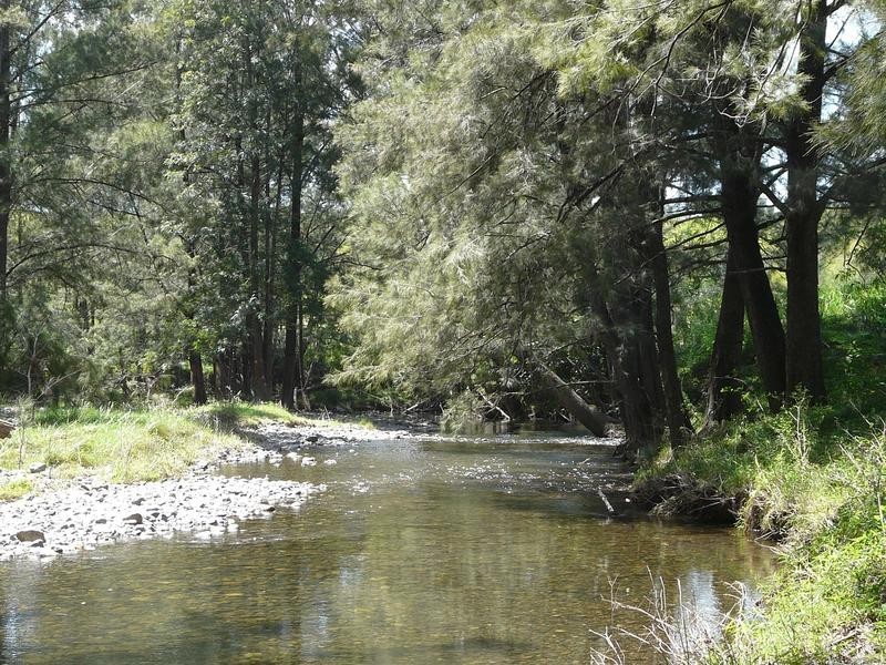 1547 Warbro Brook Road, Willi Willi via, Kempsey NSW 2440