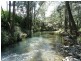 1547 Warbro Brook Road, Willi Willi via, Kempsey NSW 2440