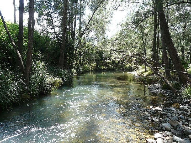 1547 Warbro Brook Road, Willi Willi via, Kempsey NSW 2440