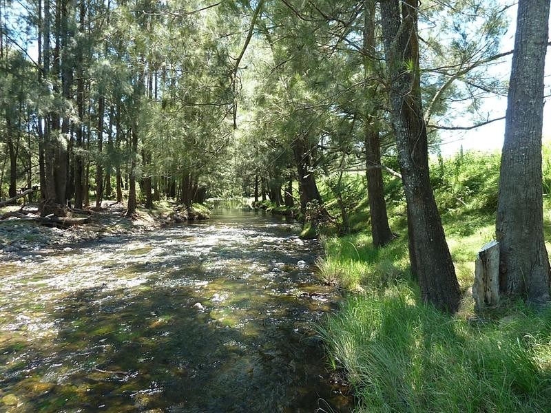 1547 Warbro Brook Road, Willi Willi via, Kempsey NSW 2440