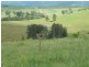 1547 Warbro Brook Road, Willi Willi via, Kempsey NSW 2440