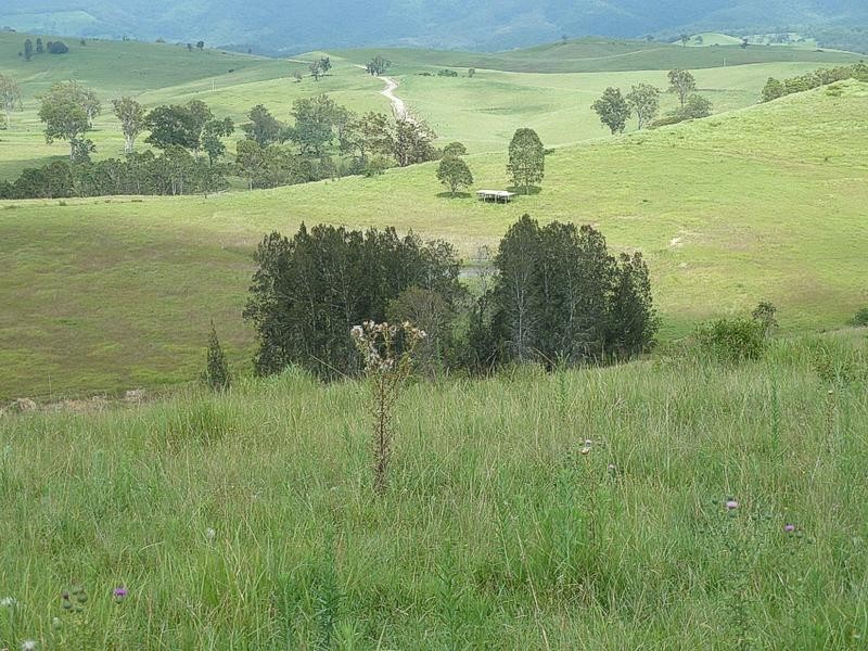 1547 Warbro Brook Road, Willi Willi via, Kempsey NSW 2440