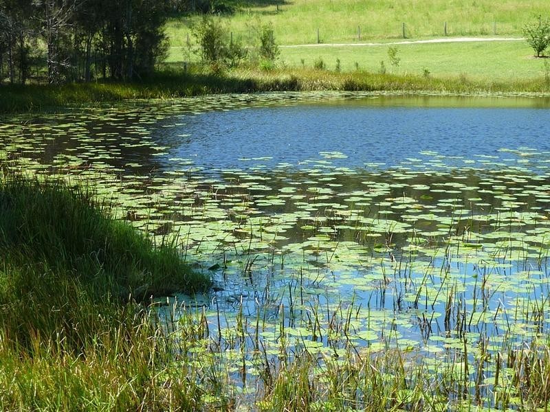 Lot 2 Neville Morton Drive, Crescent Head NSW 2440