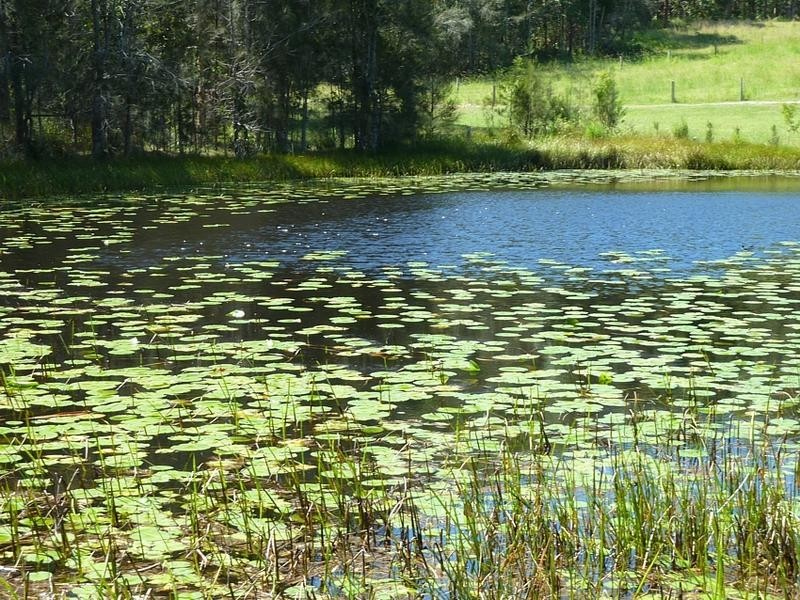 Lot 2 Neville Morton Drive, Crescent Head NSW 2440