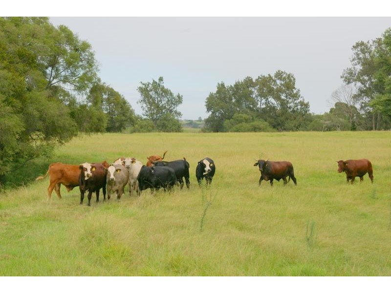 83 South West Rocks Road, Hampden Hall, Kempsey NSW 2440