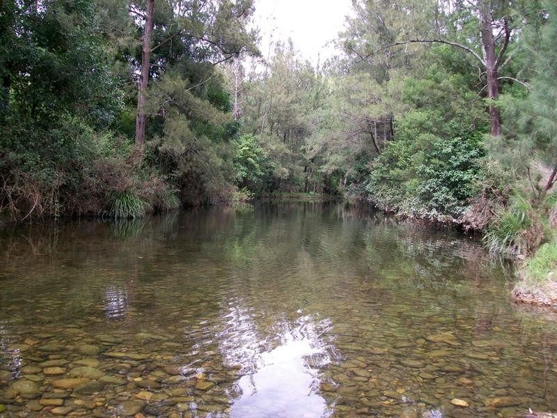 1051 Warbro Brook Road, Willi Willi via, Kempsey NSW 2440