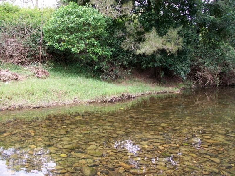 1051 Warbro Brook Road, Willi Willi via, Kempsey NSW 2440