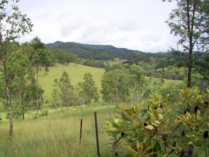 1051 Warbro Brook Road, Willi Willi via, Kempsey NSW 2440