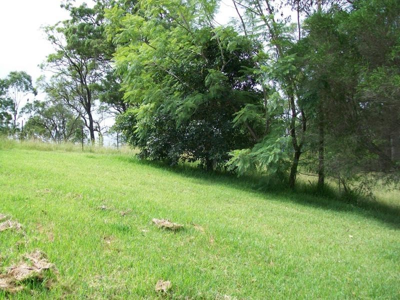 1051 Warbro Brook Road, Willi Willi via, Kempsey NSW 2440