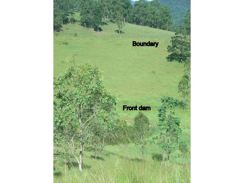 1051 Warbro Brook Road, Willi Willi via, Kempsey NSW 2440