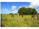 639 Outer Road, Austral Eden via, Kempsey NSW 2440