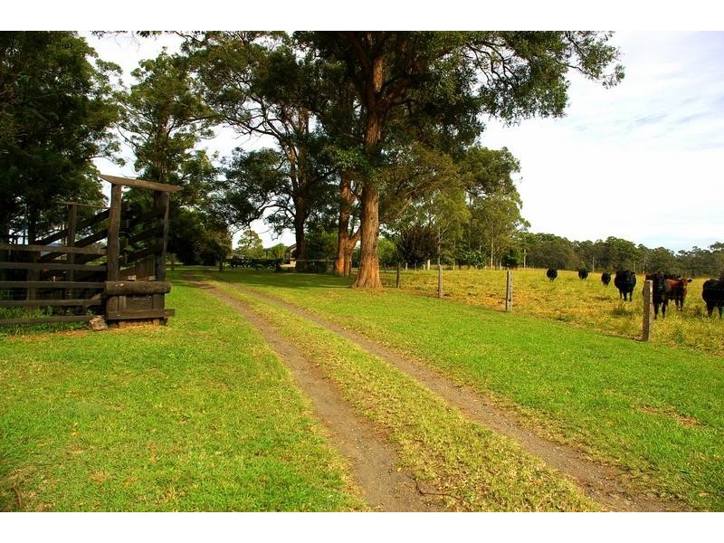 197 Aldavilla Road, Aldavilla NSW 2440
