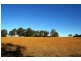197 Aldavilla Road, Aldavilla NSW 2440