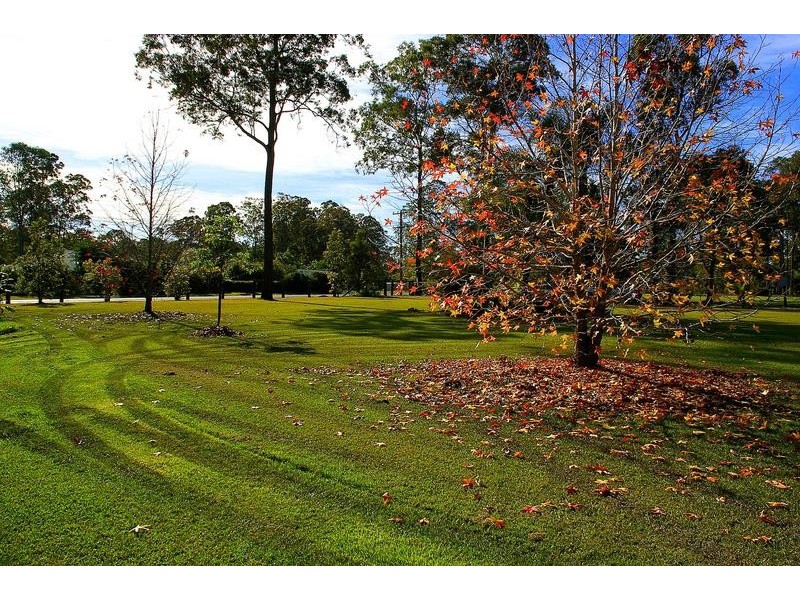 22 The Ponds Way, Aldavilla NSW 2440