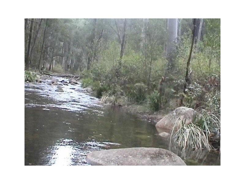 1085 Lower Creek Road, Lower Creek via, Armidale NSW 2350