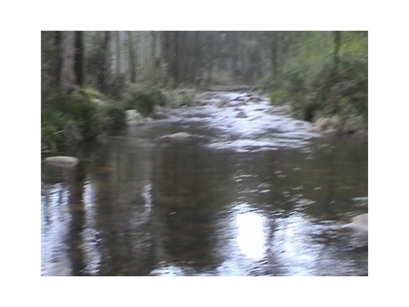 1085 Lower Creek Road, Lower Creek via, Armidale NSW 2350