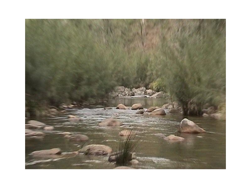 1085 Lower Creek Road, Lower Creek via, Armidale NSW 2350