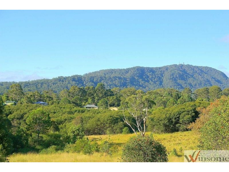 50 Main Street, Eungai Creek NSW 2441