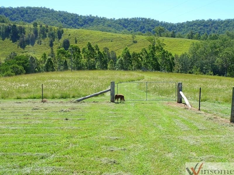 1524 Warbro Brook Road, Willi Willi NSW 2440