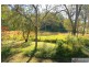3217 Armidale Road, Hickeys Creek NSW 2440