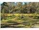 3217 Armidale Road, Hickeys Creek NSW 2440