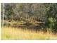 3217 Armidale Road, Hickeys Creek NSW 2440