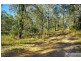 3217 Armidale Road, Hickeys Creek NSW 2440