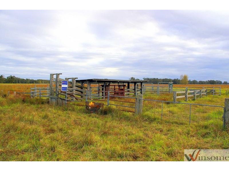 Lot 117 Western Lane, Bellimbopinni NSW 2440
