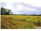 Lot 117 Western Lane, Bellimbopinni NSW 2440