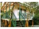68 Macleay Street, Frederickton NSW 2440