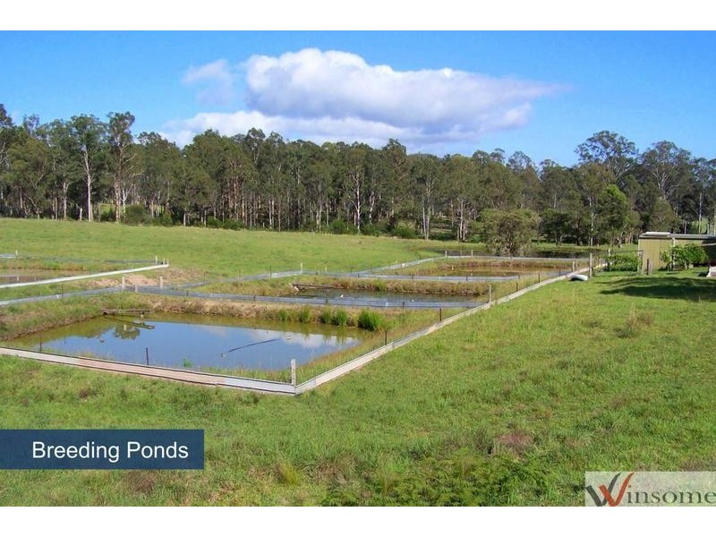 84 Wirrang Drive, Dondingalong NSW 2440