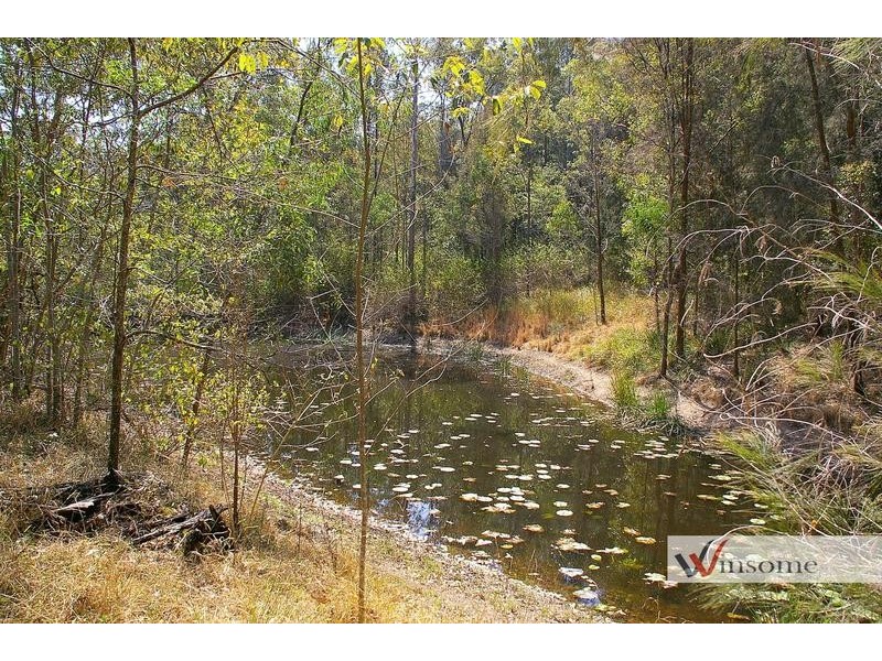 46 Wyralla Road, Hickeys Creek NSW 2440