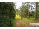 58 Davis Road, Wittitrin NSW 2440