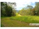 58 Davis Road, Wittitrin NSW 2440