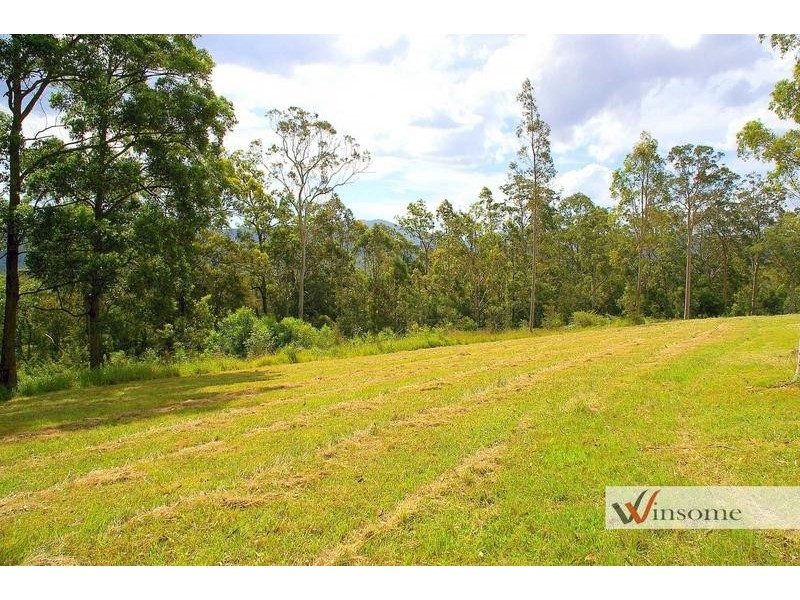 58 Davis Road, Wittitrin NSW 2440