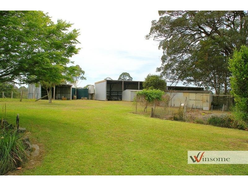 1311 Collombatti Road, Collombatti NSW 2440