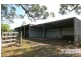 1311 Collombatti Road, Collombatti NSW 2440