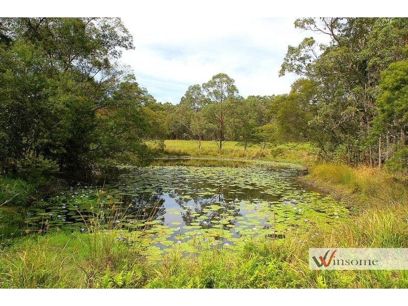 1311 Collombatti Road, Collombatti NSW 2440