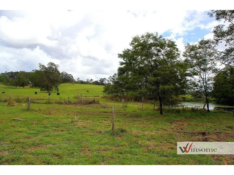 1311 Collombatti Road, Collombatti NSW 2440