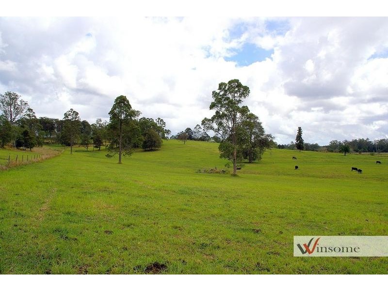 1311 Collombatti Road, Collombatti NSW 2440
