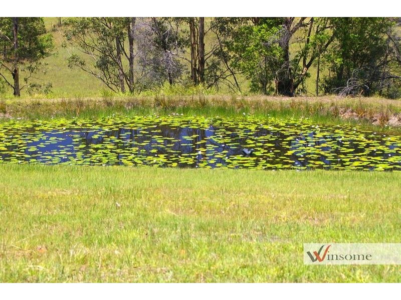 1311 Collombatti Road, Collombatti NSW 2440