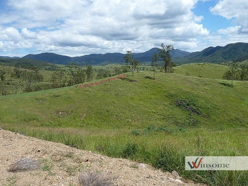 3126 Willi Willi Road, Willi Willi NSW 2440