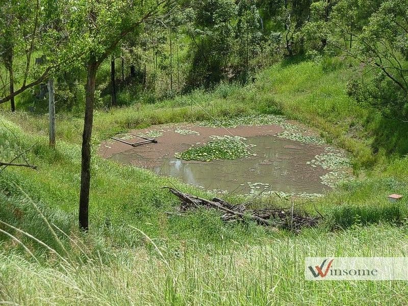 3126 Willi Willi Road, Willi Willi NSW 2440