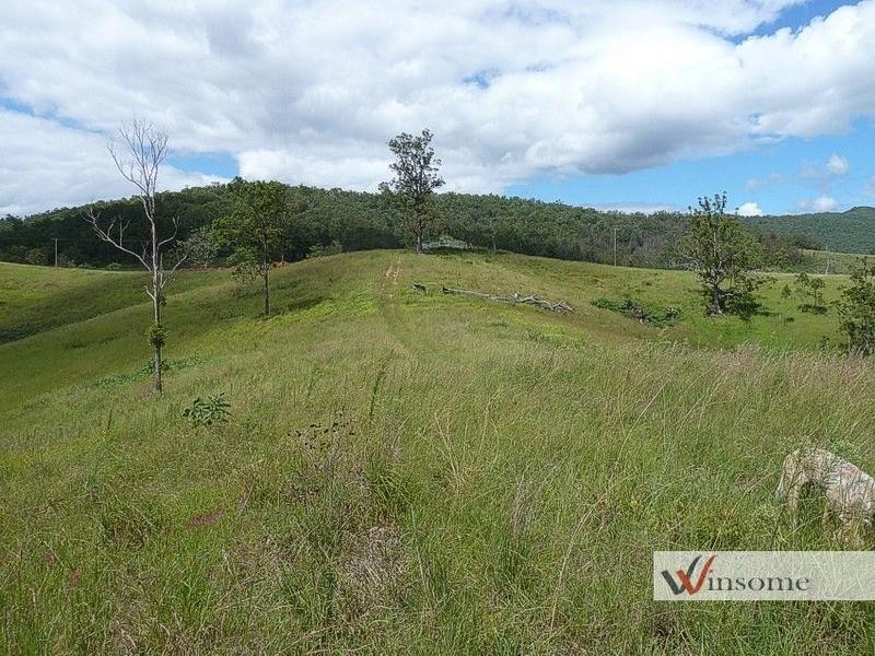 3126 Willi Willi Road, Willi Willi NSW 2440