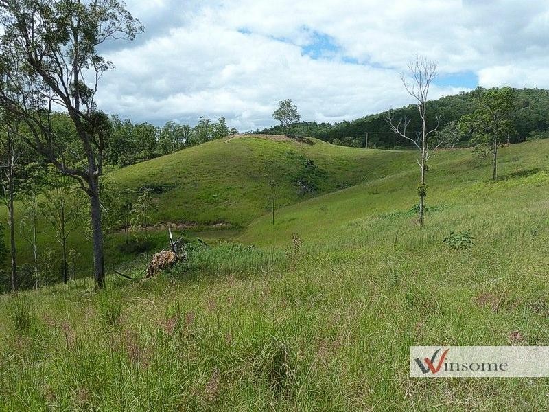 3126 Willi Willi Road, Willi Willi NSW 2440