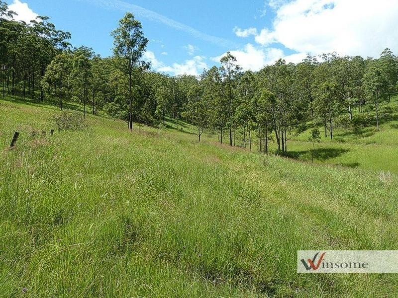 3126 Willi Willi Road, Willi Willi NSW 2440