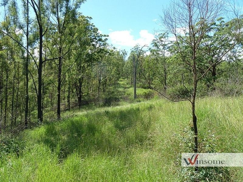3126 Willi Willi Road, Willi Willi NSW 2440