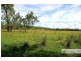 144 Mingaletta Road, Kundabung NSW 2441